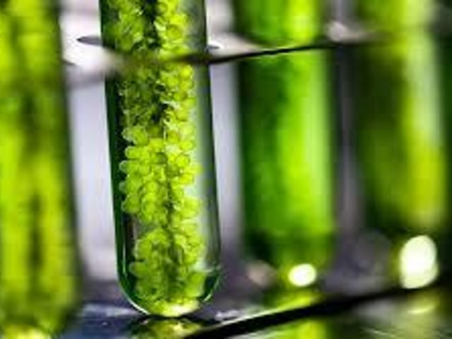 Biological materials