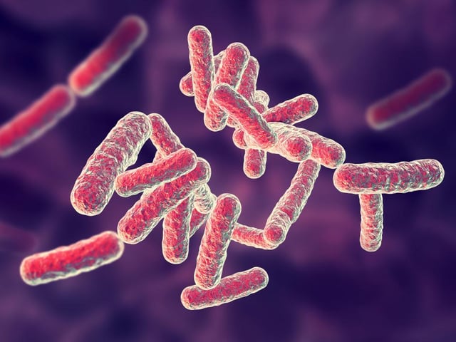 Biological solvents, enzymes, microorganisms for waste treatment
